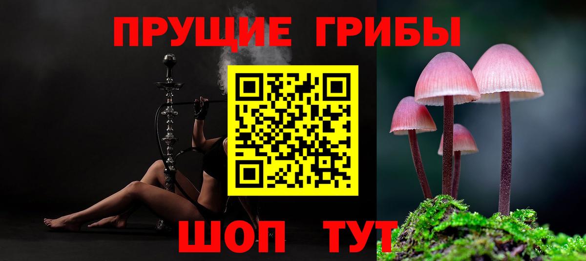 Псилоцибиновые грибы ЛСД Канаш